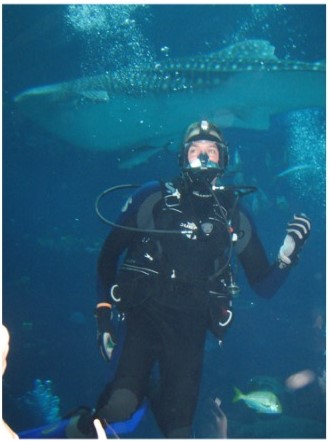 Journey with Giants - The Whale Shark Journey with Giants - The Whale Shark